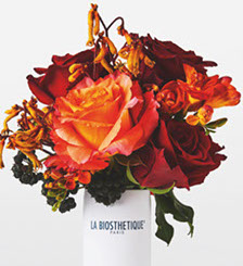 Haar-Style-Studio, Friseur Mariola Brzozka in Paar bei Kühbach, Aichach-Friedberg